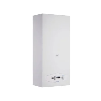 Calentador A Gas Wrn10